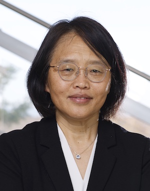 Prof. Dr. Shi-Xia Liu