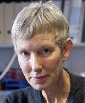 Prof. em. Dr. Margit Schwikowski
