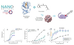 Molecule of the Month June 2023