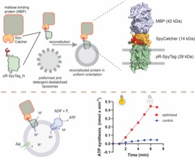 medicinal chemistry phd switzerland